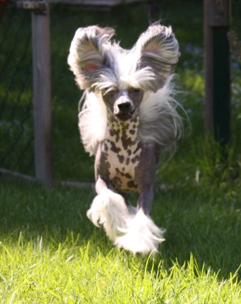 Sun-Hee's Shoot From The Hip