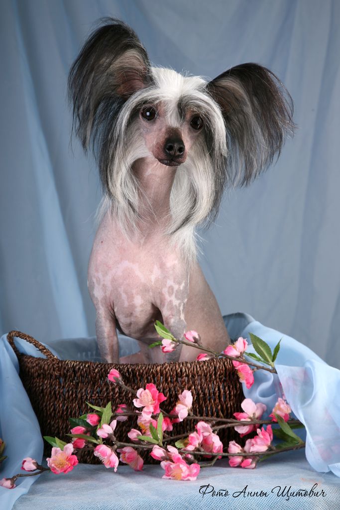 Kranar Zest for Life