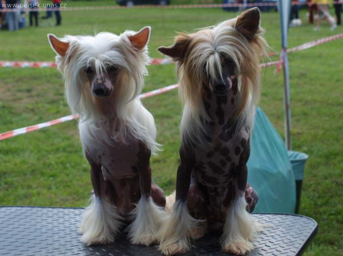 Kasper ze Zatopene Chajdy