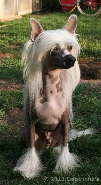 Whisperingln' The Devils Advocate