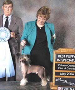 Hampshire Dark N Stormy Sonset