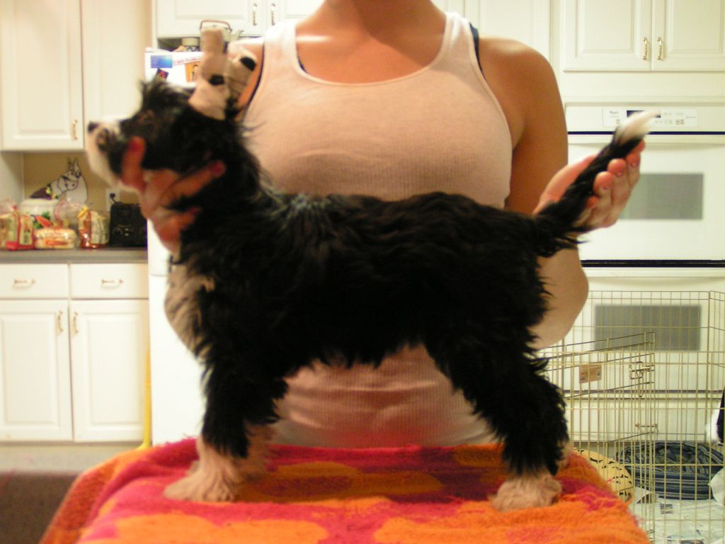 Spiritually Awakening of Six Gems