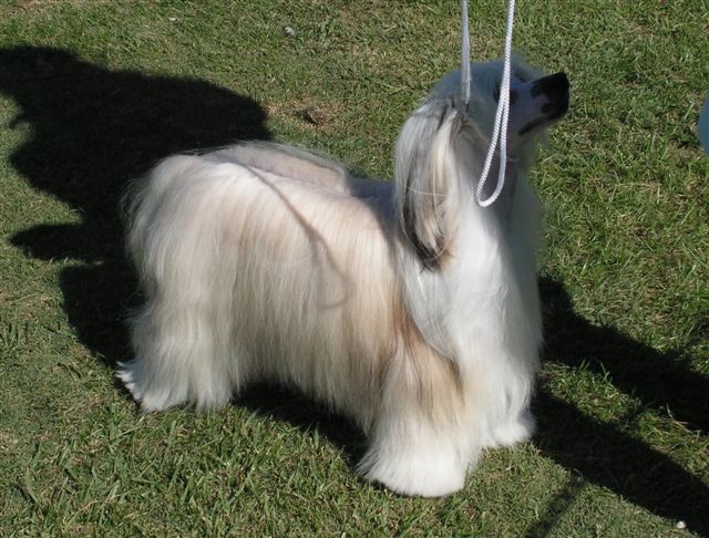 Mohawk Finishline Ahead