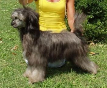 Princess z Jasne hvezdy