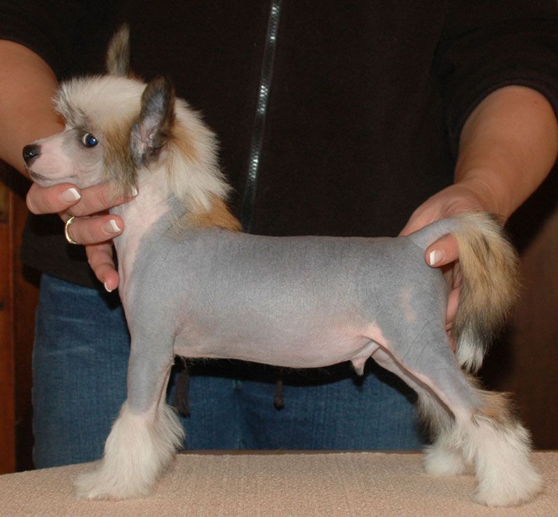 Grand Slam Little Champs