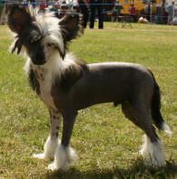 Habiba take Me Shake Me