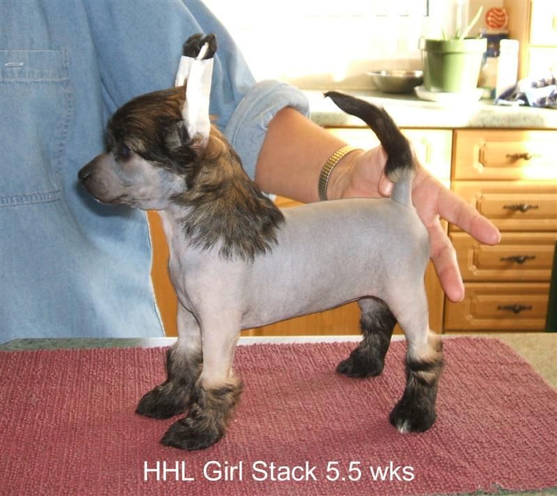 Lemiz Spirit in the Sky