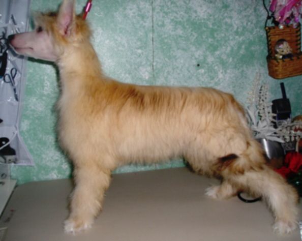 Topshelf Last Call Take Me Home