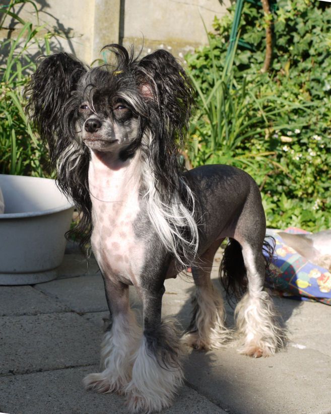 Walking on Sunshine Resuruss