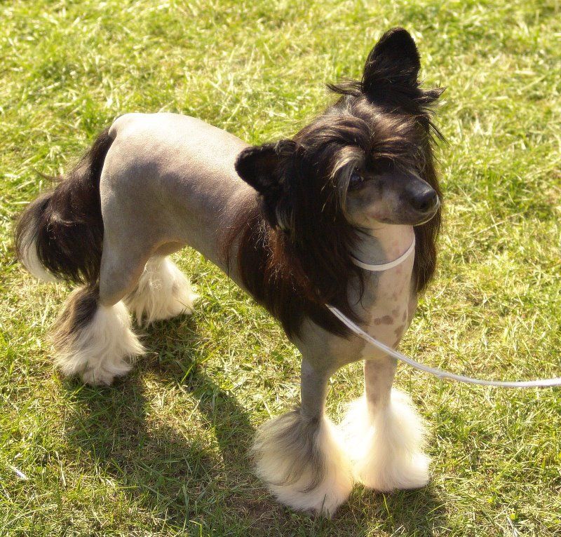 Wintertime Love   Resuruss