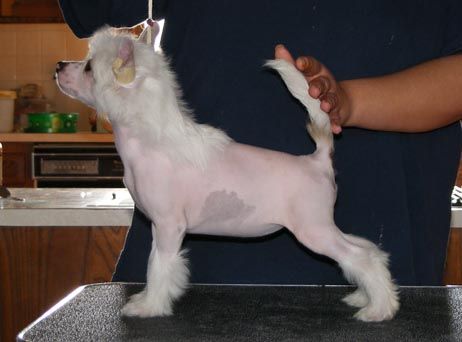 Whispering Ln' Conversation Piece