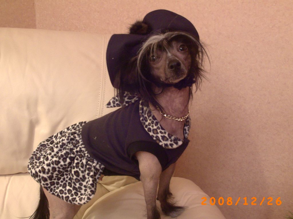 Madmouasel Coco' de Fageiro