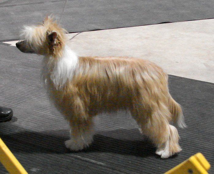 BonitaNLejo Legally Blonde