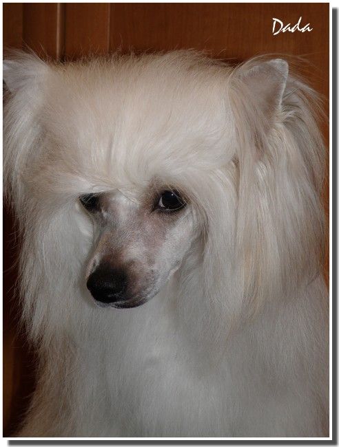 Wonderful Tonight Resuruss