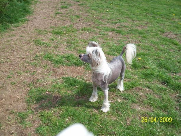 Newbourne Gateway to Prajna