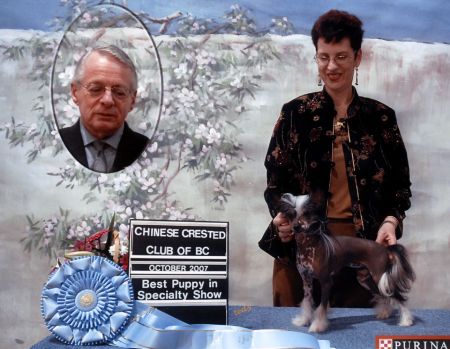 Sunwinds Holiday Cheer V Tilea