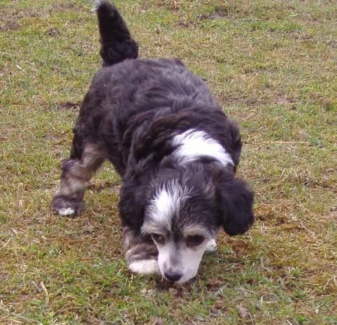 Linda z Kamilova dvora