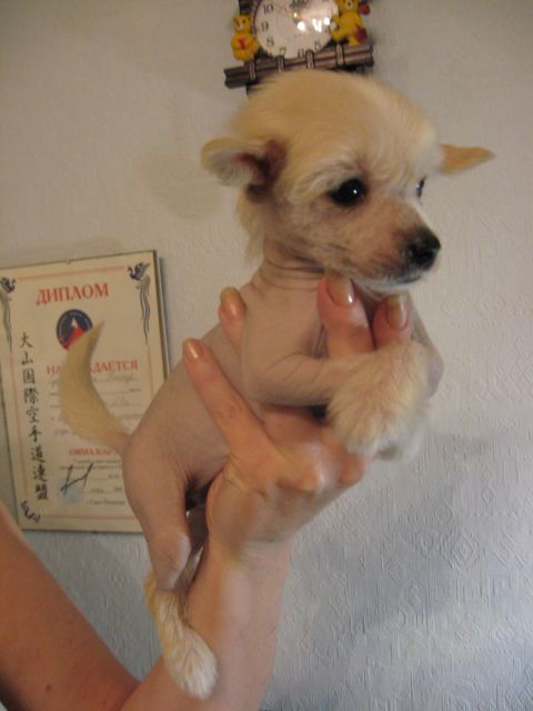 Averna Amaro Siciliano  