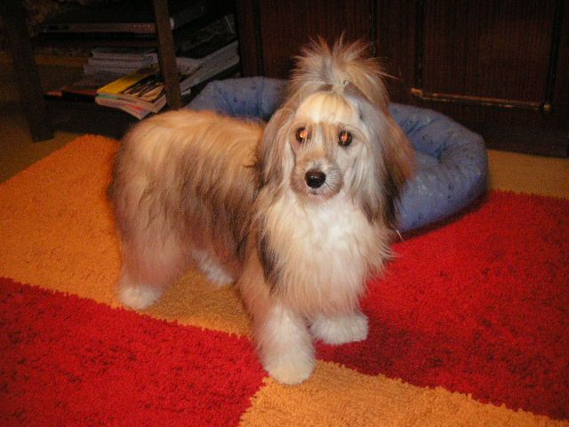 Oniks s Tushinskogo doma