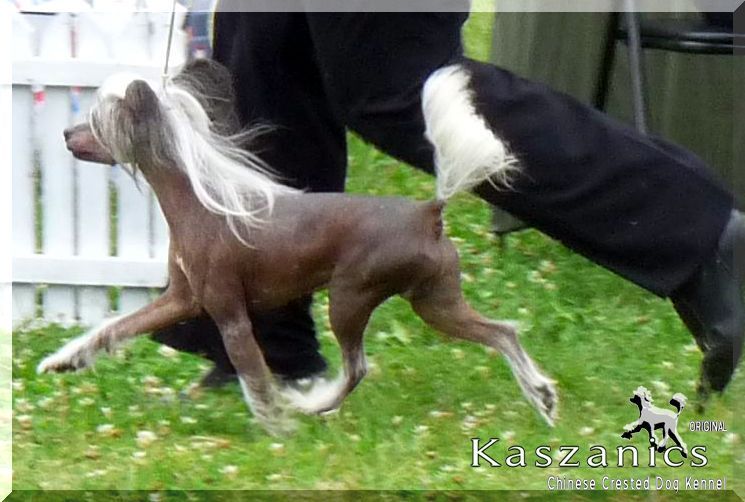  Michiko  Moe  Avokaduh