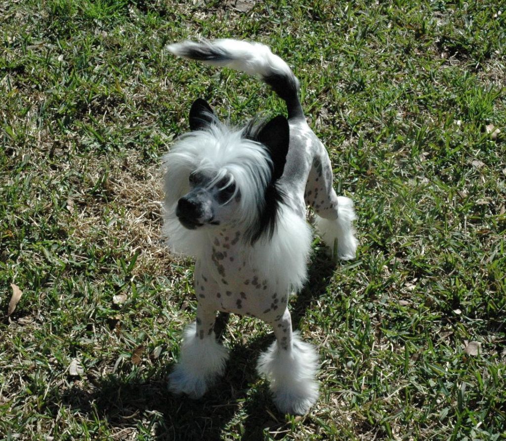 Tacori Noth'n But The Truth Legends