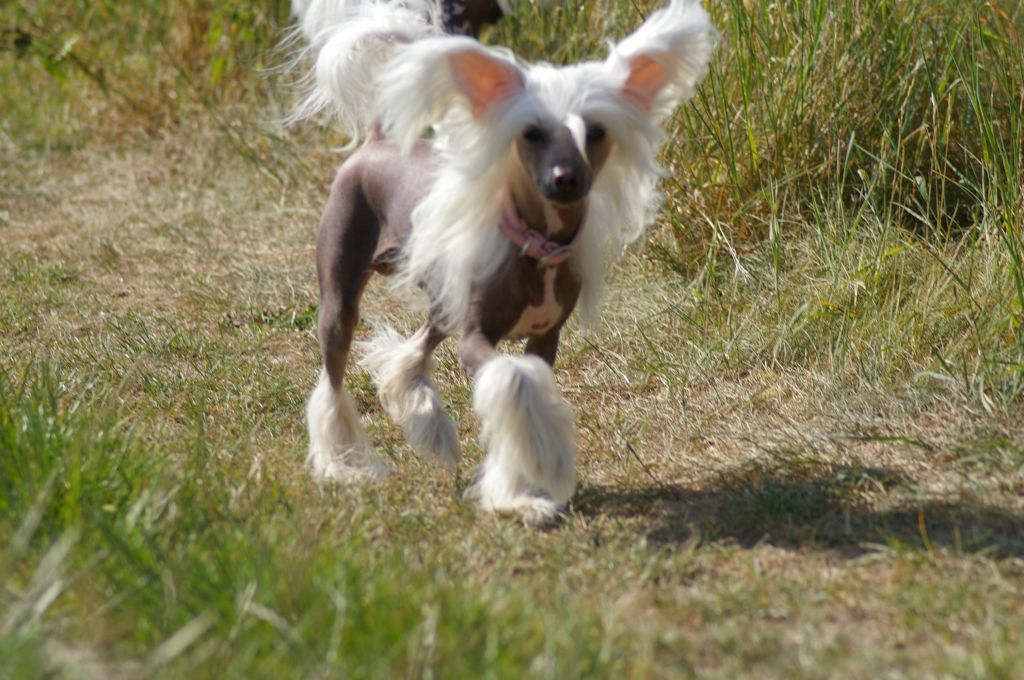 Quite playing von Shinbashi