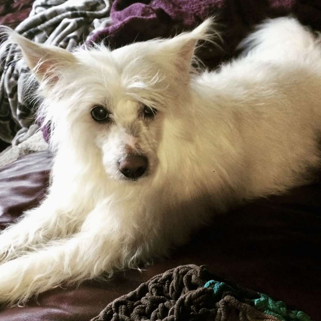 Horizon's Great Expectations