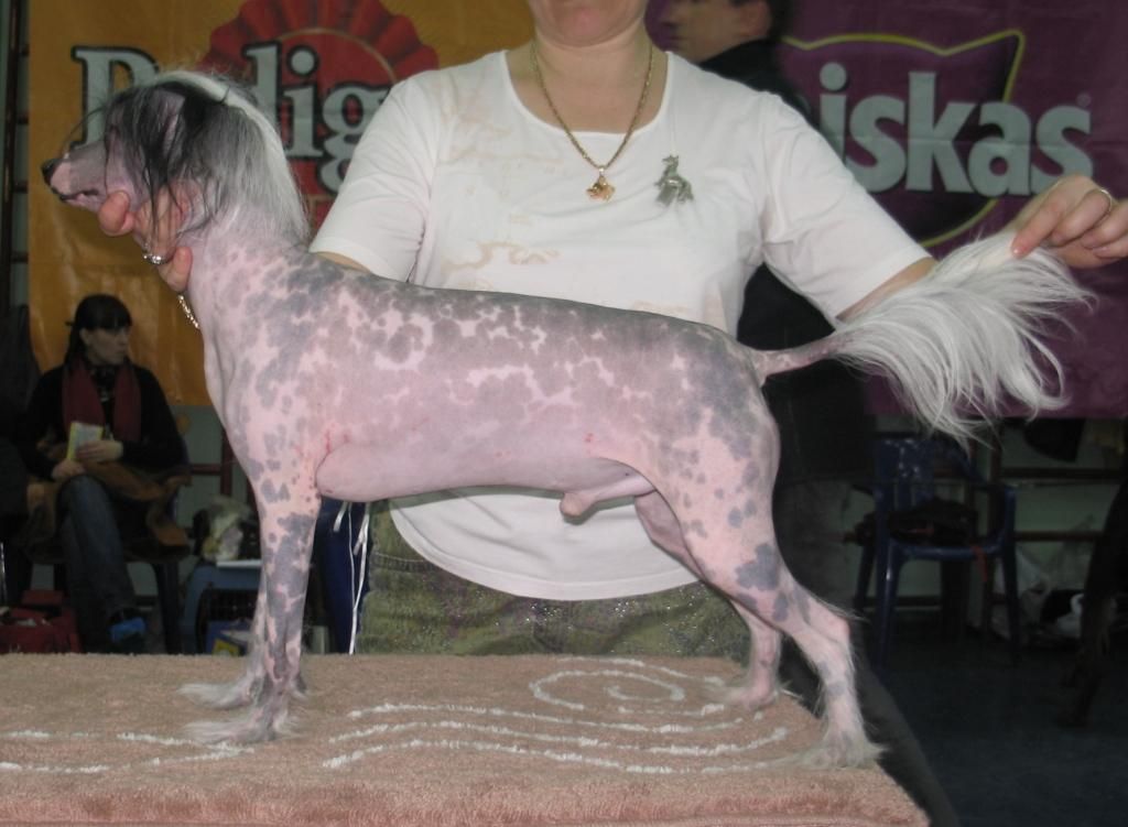 Snou Mirekl Liberti Live