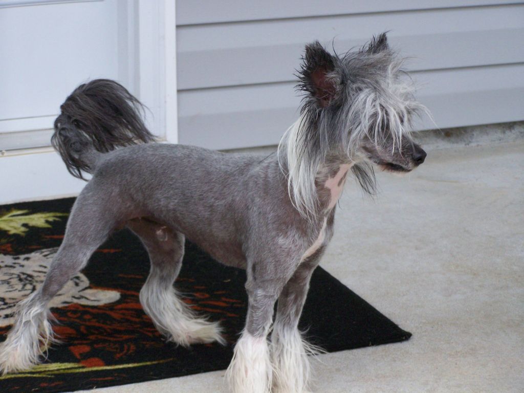 La-Te-Da's Joey Lysack