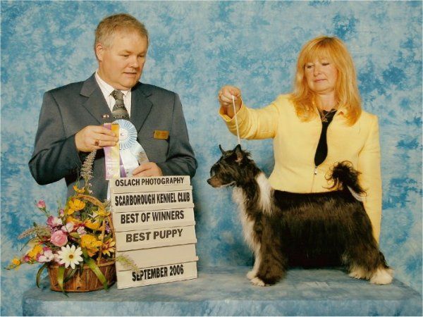 Kasma's Let's Go Racing Boys