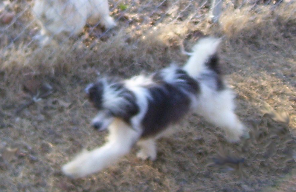 Spiritual an Affair to Remember