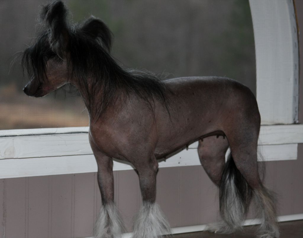 Taila Got Your Eyes On Me