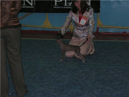 Manzana De Oro Su May