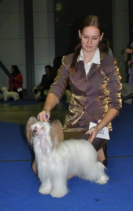 Stars at Sea For Your Eyes Only