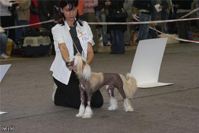 Nezhny Angel Su Dan"