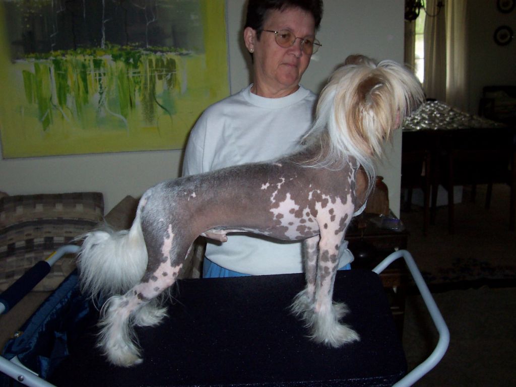 ReeCreat'n Nuthin' Up My Sleeve HL