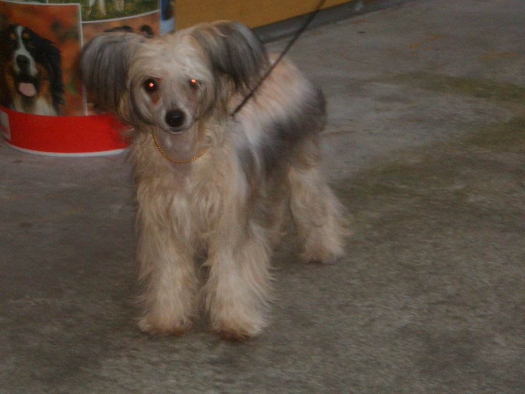 Luba's My Little Pony