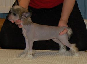 Princess Leia's Kiss The Bride