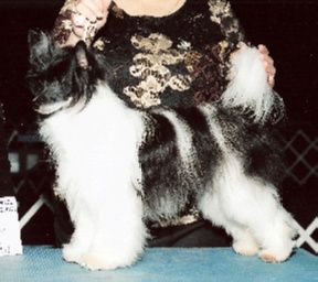 Redland's Song In My Heart