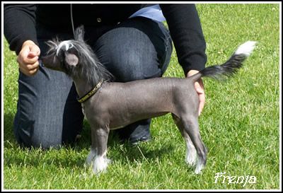 MhaLhi's Extra Explosive