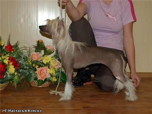 Irgen Gold Nastasia Kinski