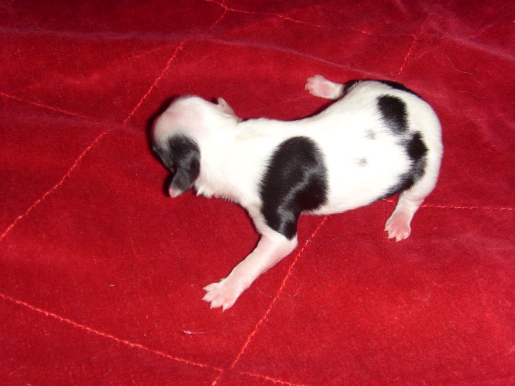 Cool Crowd's Eyes Of Exeptional Ego