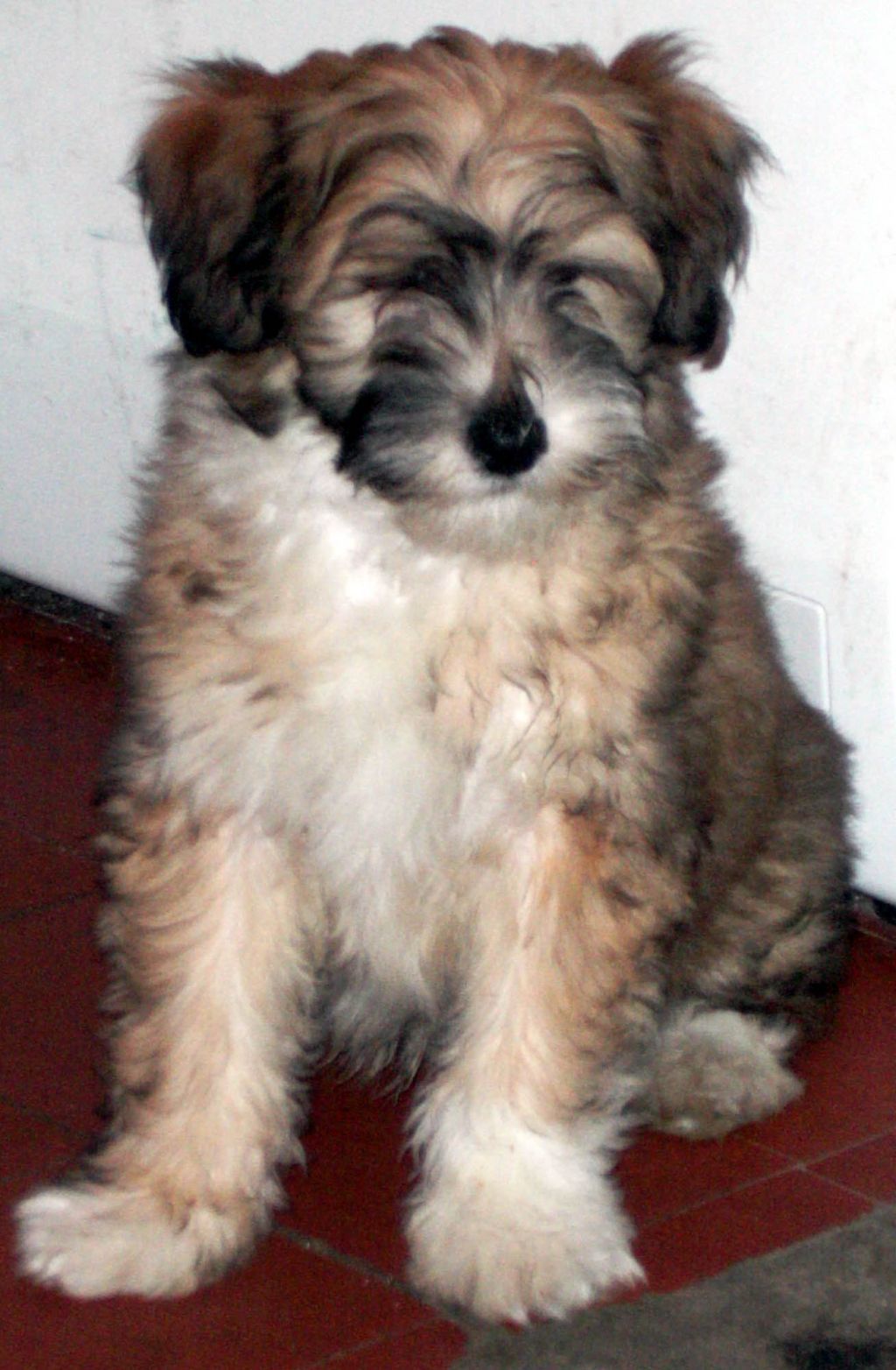 Hit And Run Hotstepper