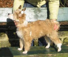 Oh My Starry Eyed Surprise 