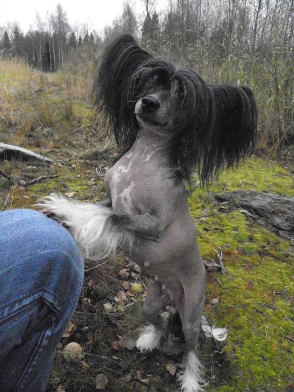 Fine Design Getting Naked