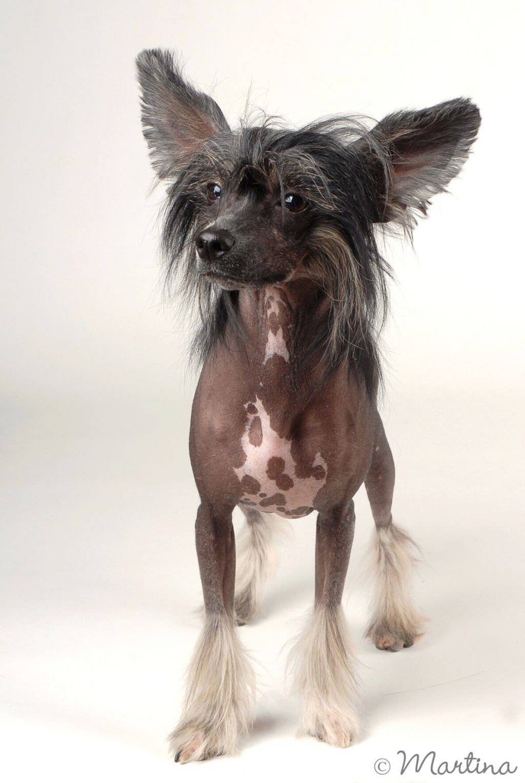 Aqua Vitae Rose of Silesia