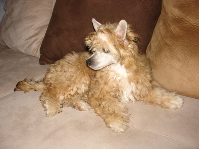 Hi-Life's You Siriusly Had Me At Hello