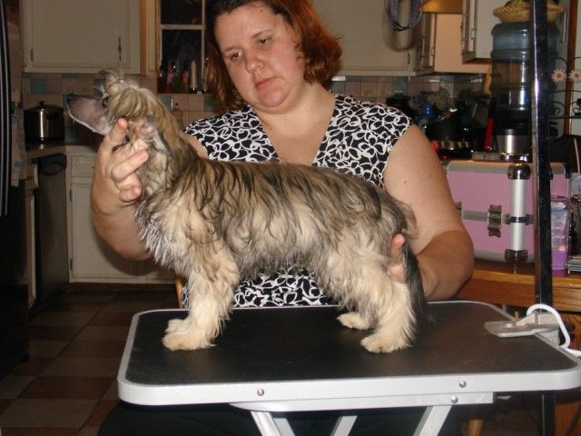 Bolak's Cho Of Bluesky