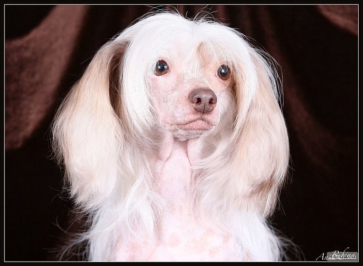 Vivat Sanraiz Ekaterina