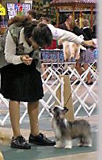 Crest-vue's Firestarter